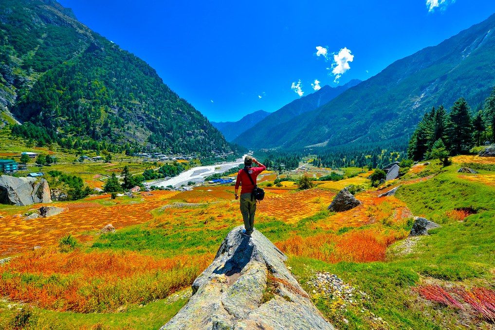 a person standing on a rock with green fields and green mountains in the backdrop