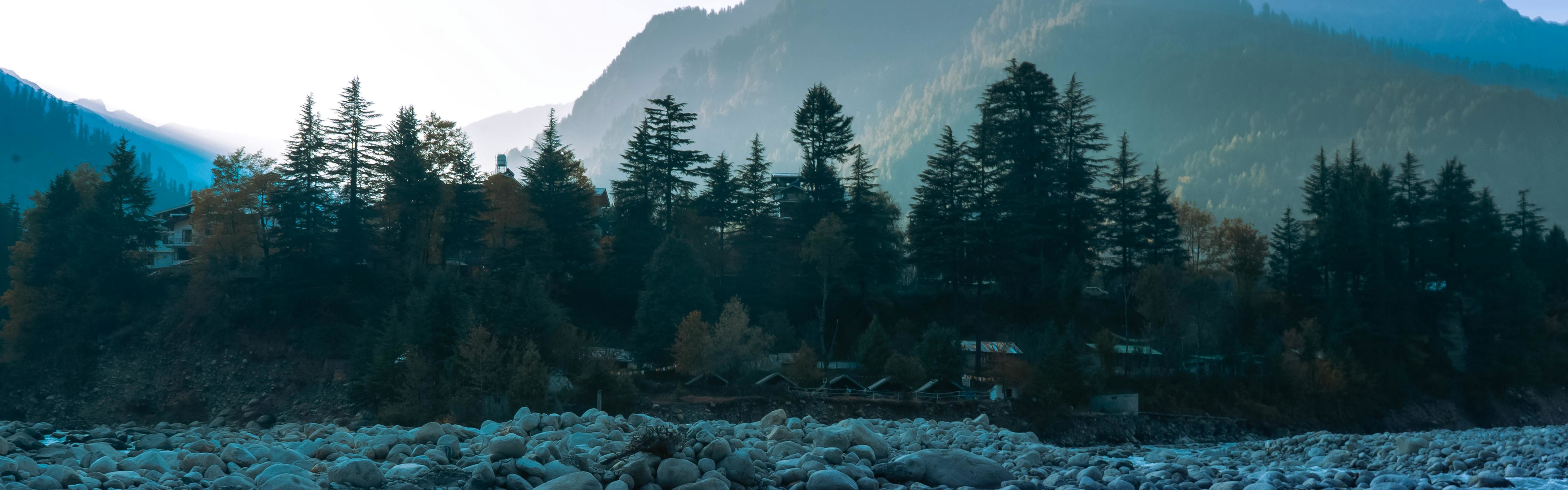 a view of beas river flowing with pine trees and mountains in the backdrop