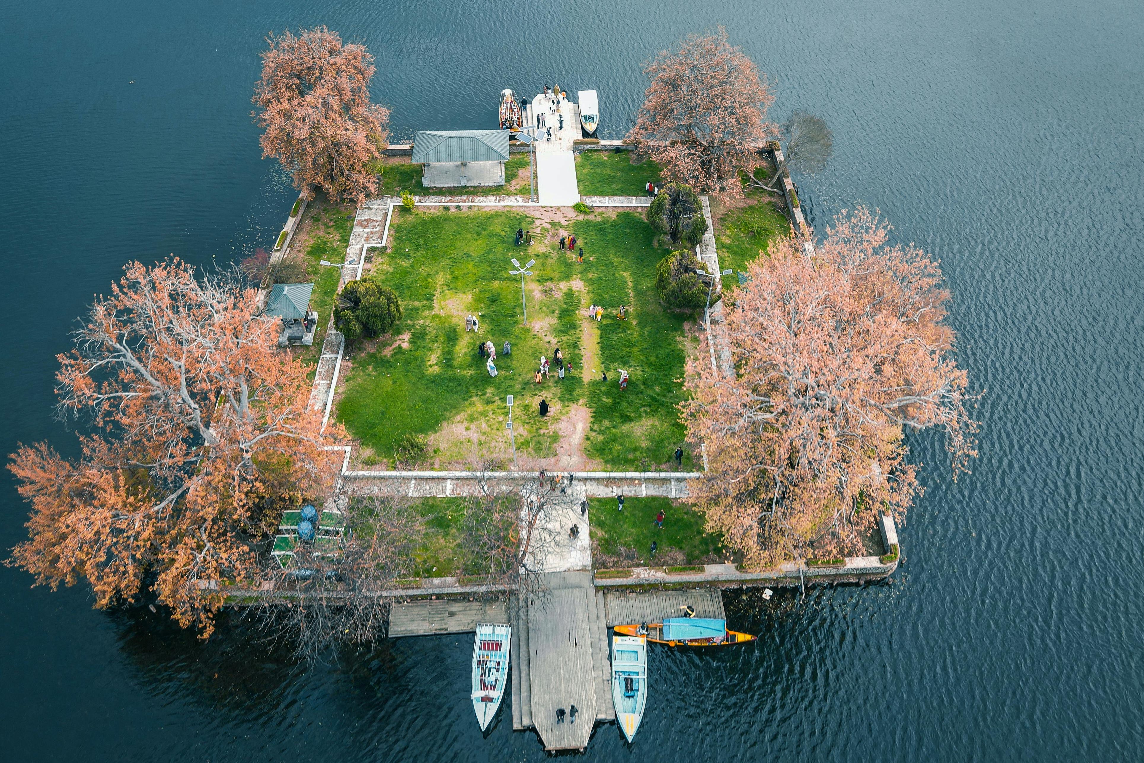 aerial view of char chinar in dal lake