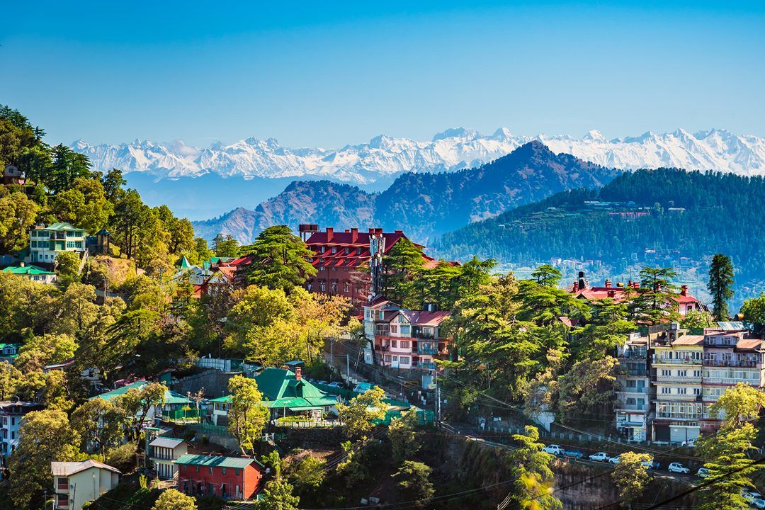 houses surrounded by pine trees with snow capped mountains in the backdrop during daytime