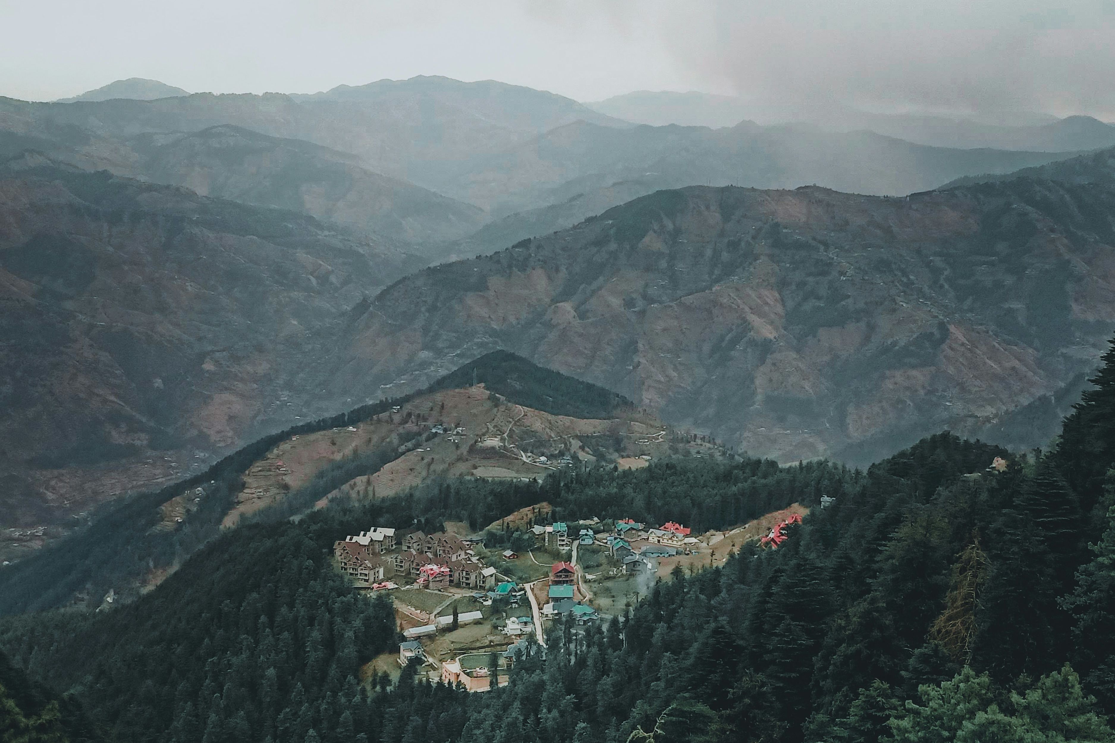 houses on a hill top surrounded by pine trees with mountain range in the backdrop