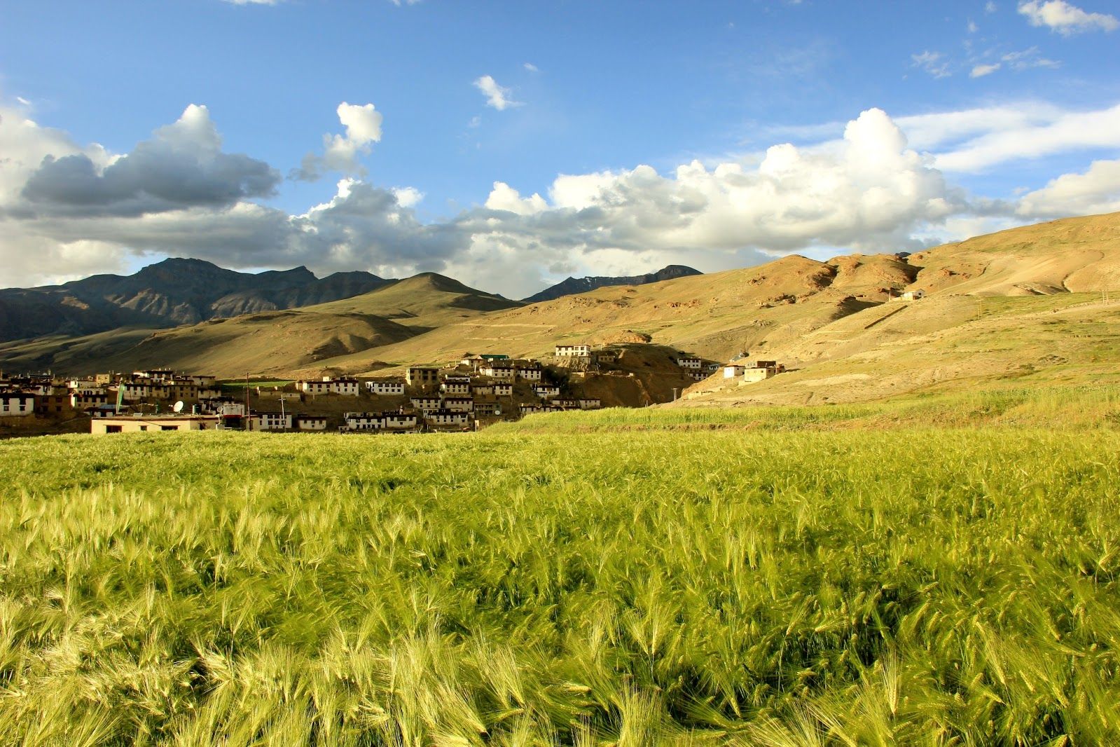 green fields with houses and brown mountains in the backdrop