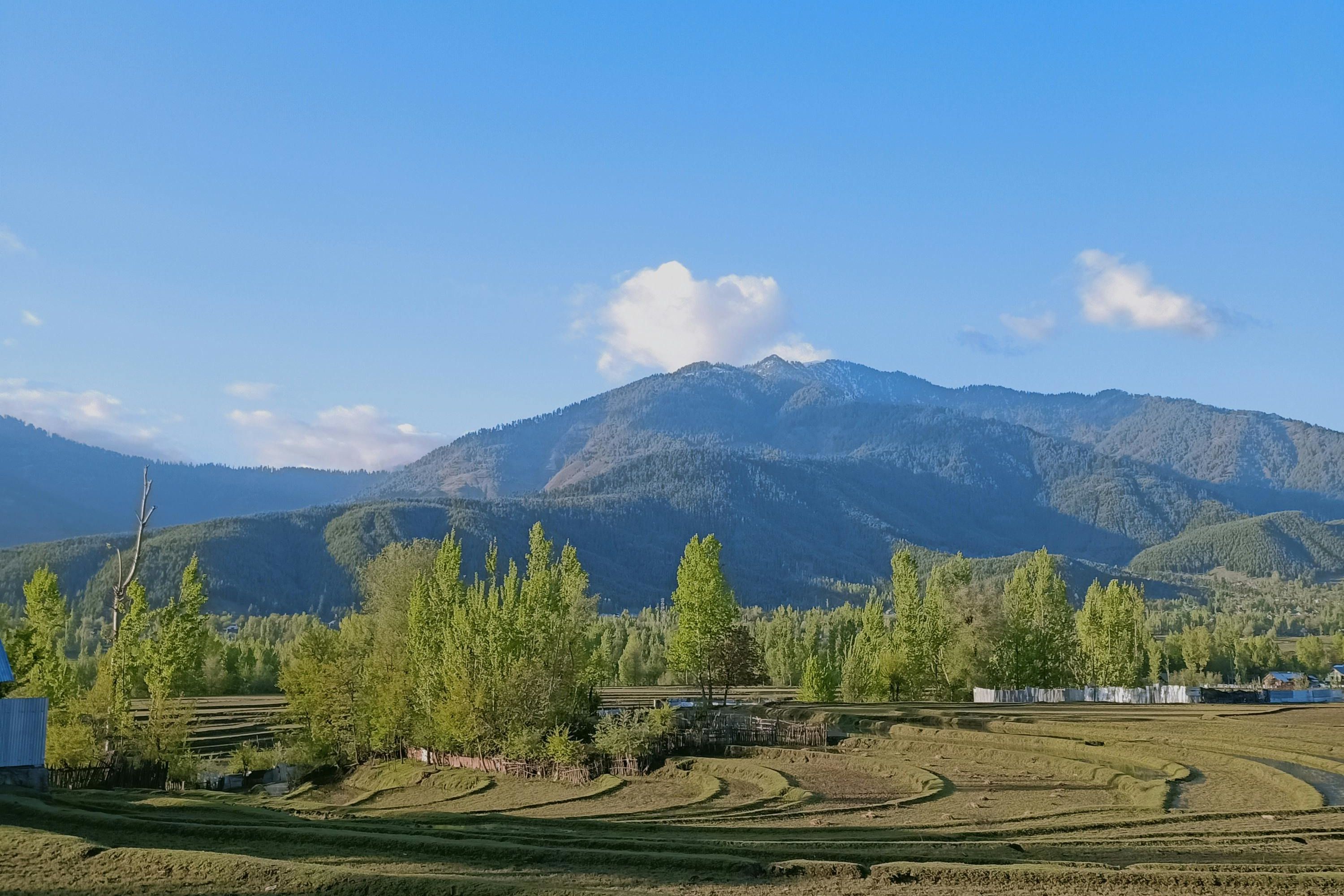green grassland and a hill behind in kupwara