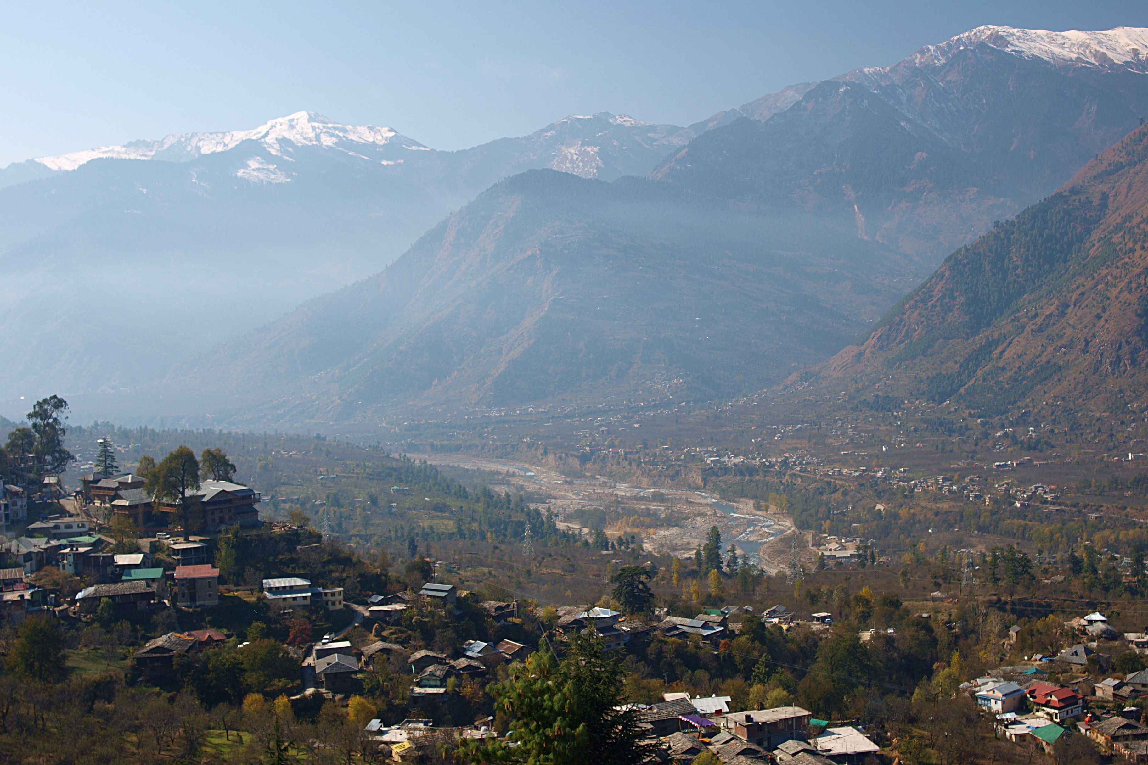 houses surrounded by pine trees in kullu valley