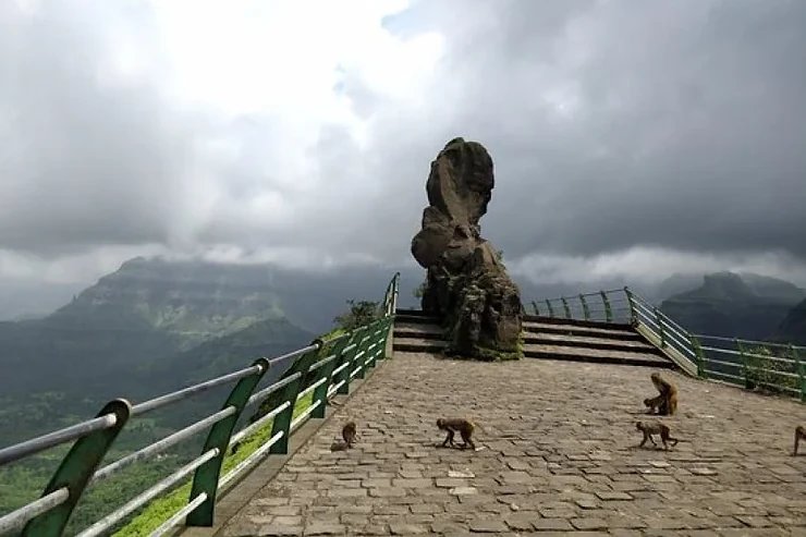 monkeys near monkey point in kasauli