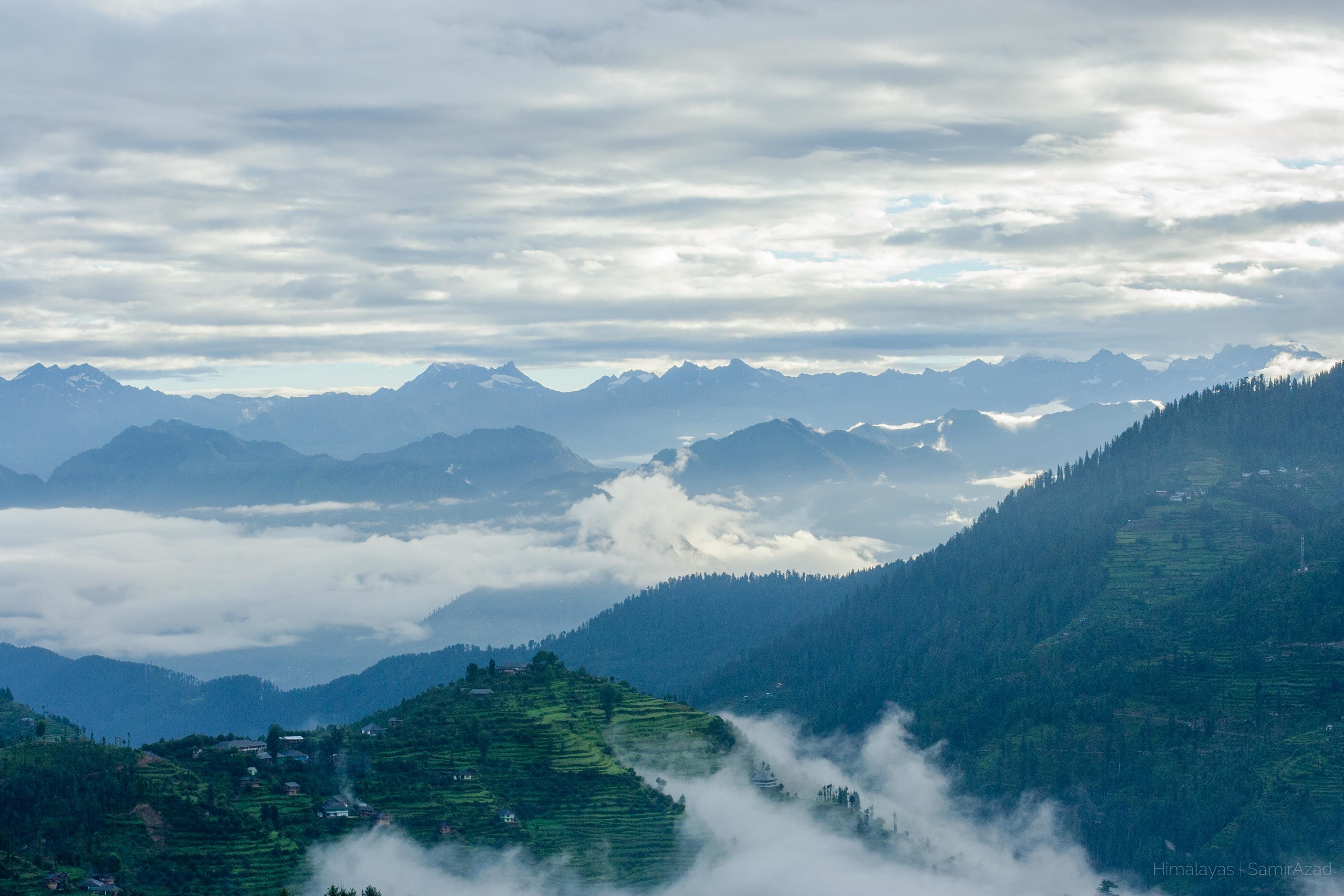 mountains covered with pine trees at the great himalayan national park