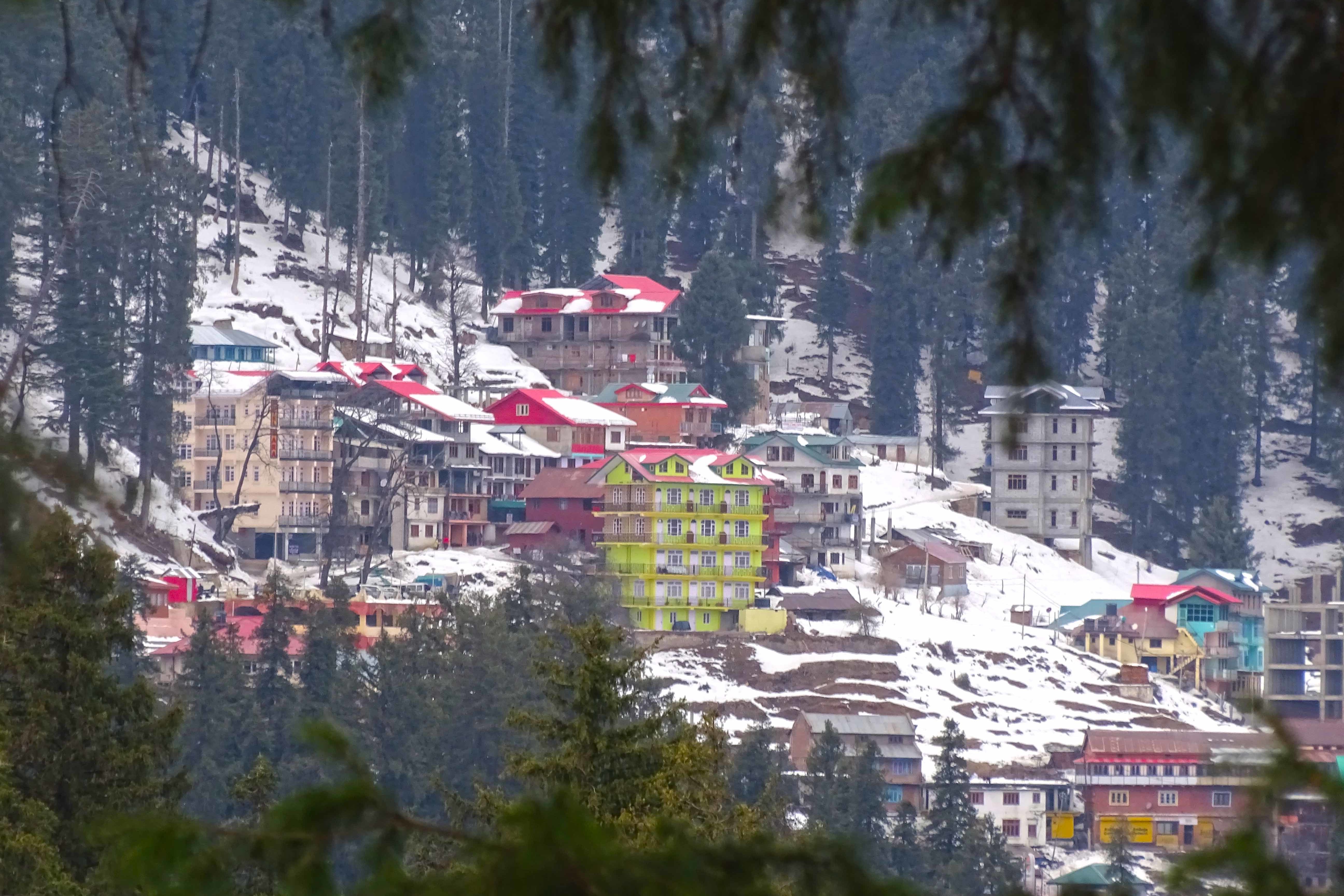 houses on a hilltop surrounded by snow and pine trees