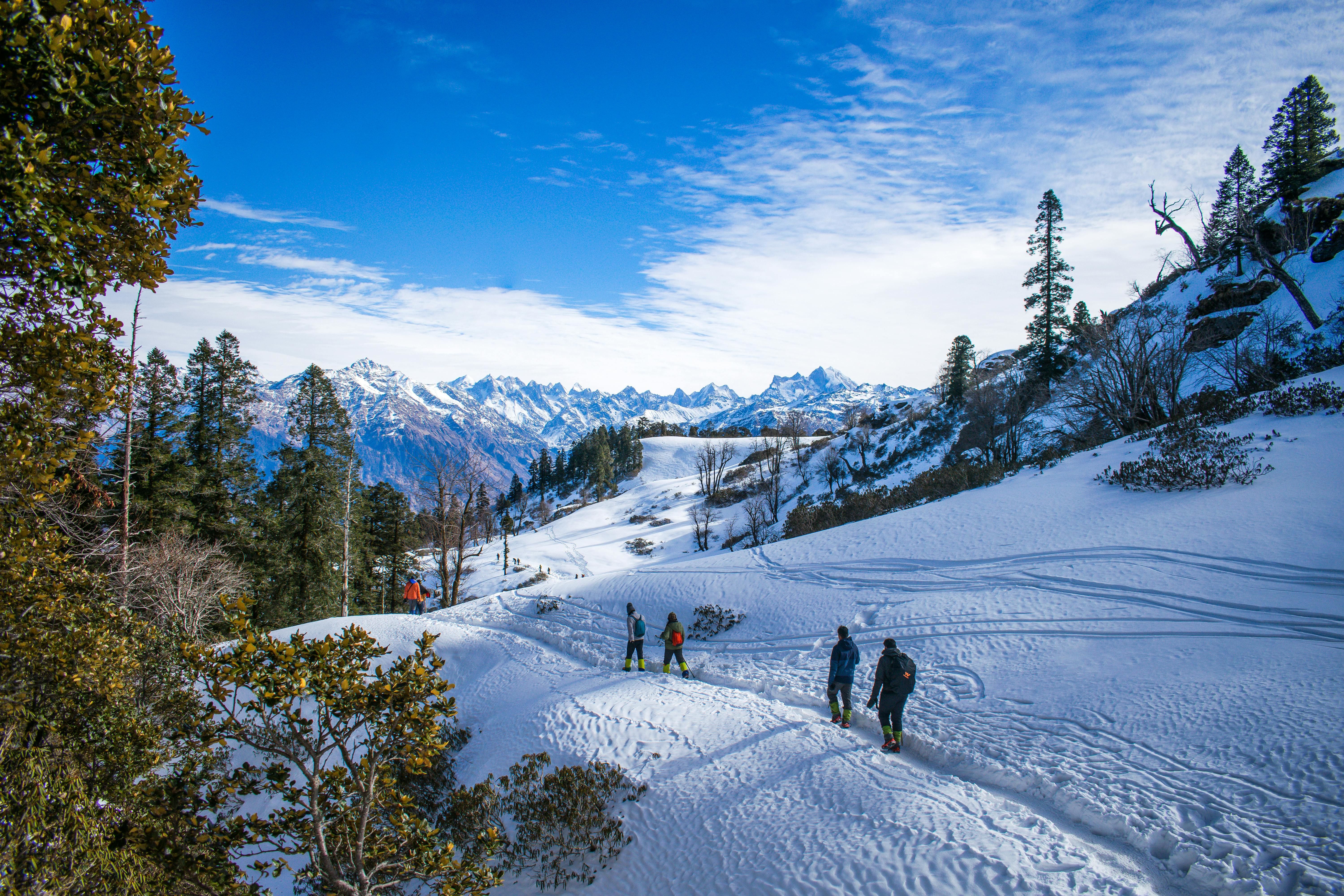 people walking on snow covered ground near green trees under blue sky