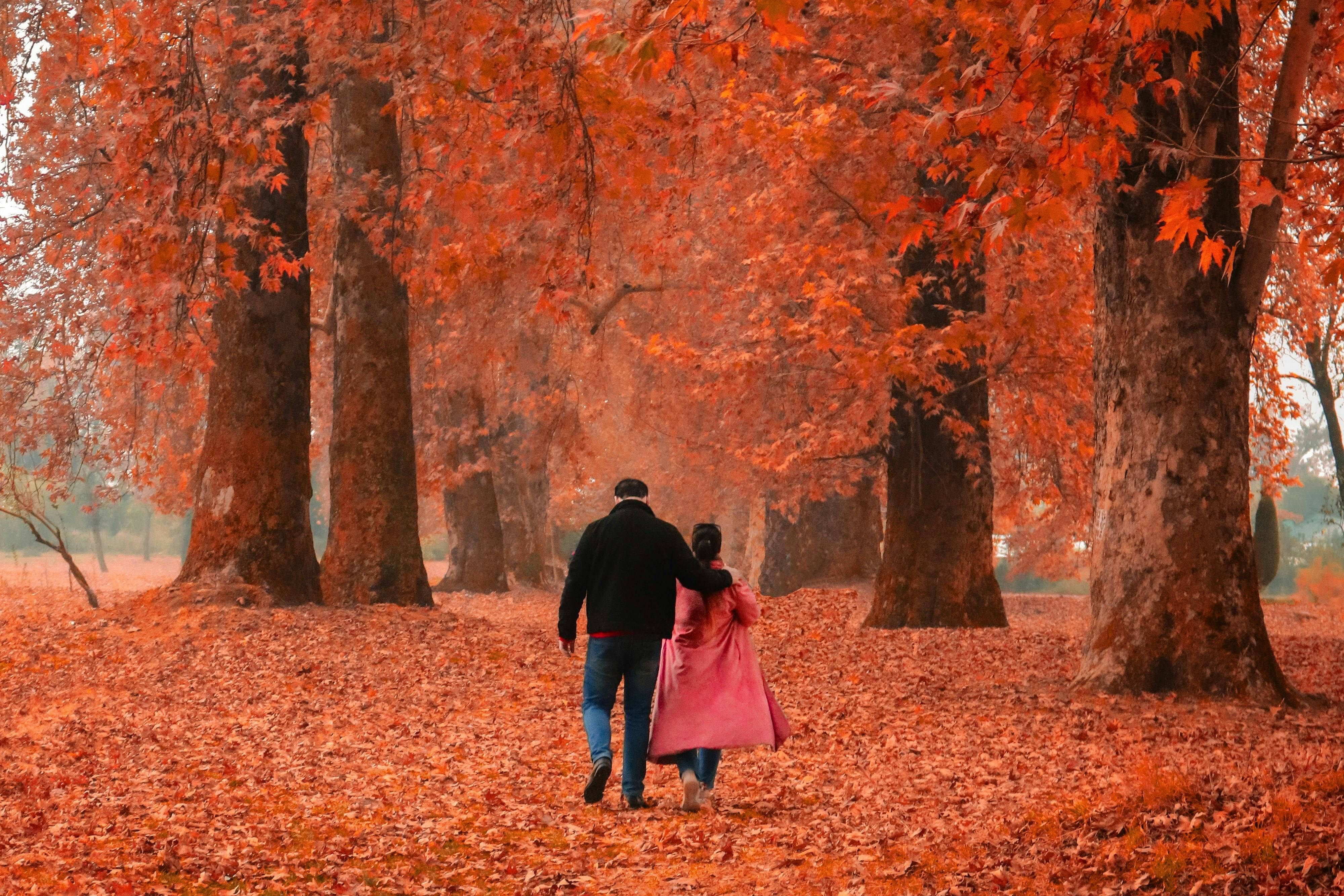 two people walking through autumn leaves in kashmir