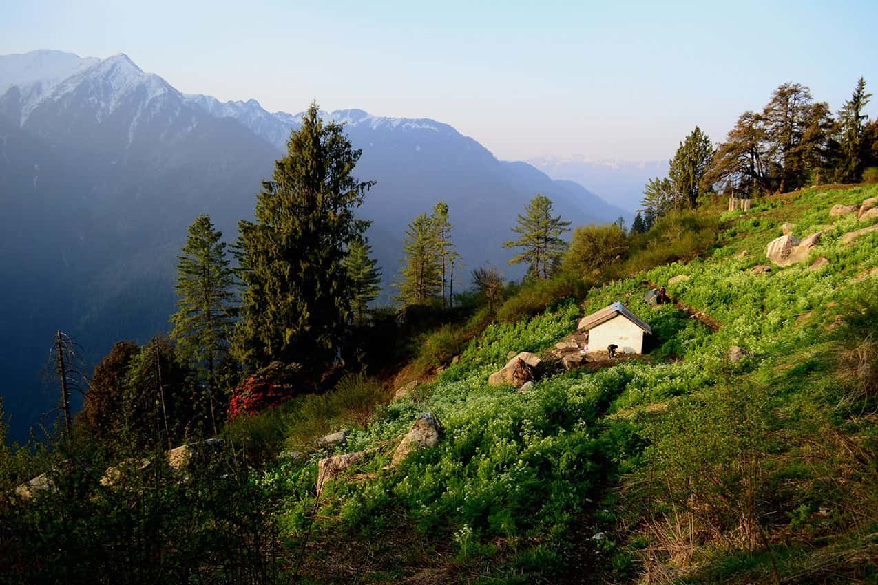 shilt hut trek at the great himalayan national park