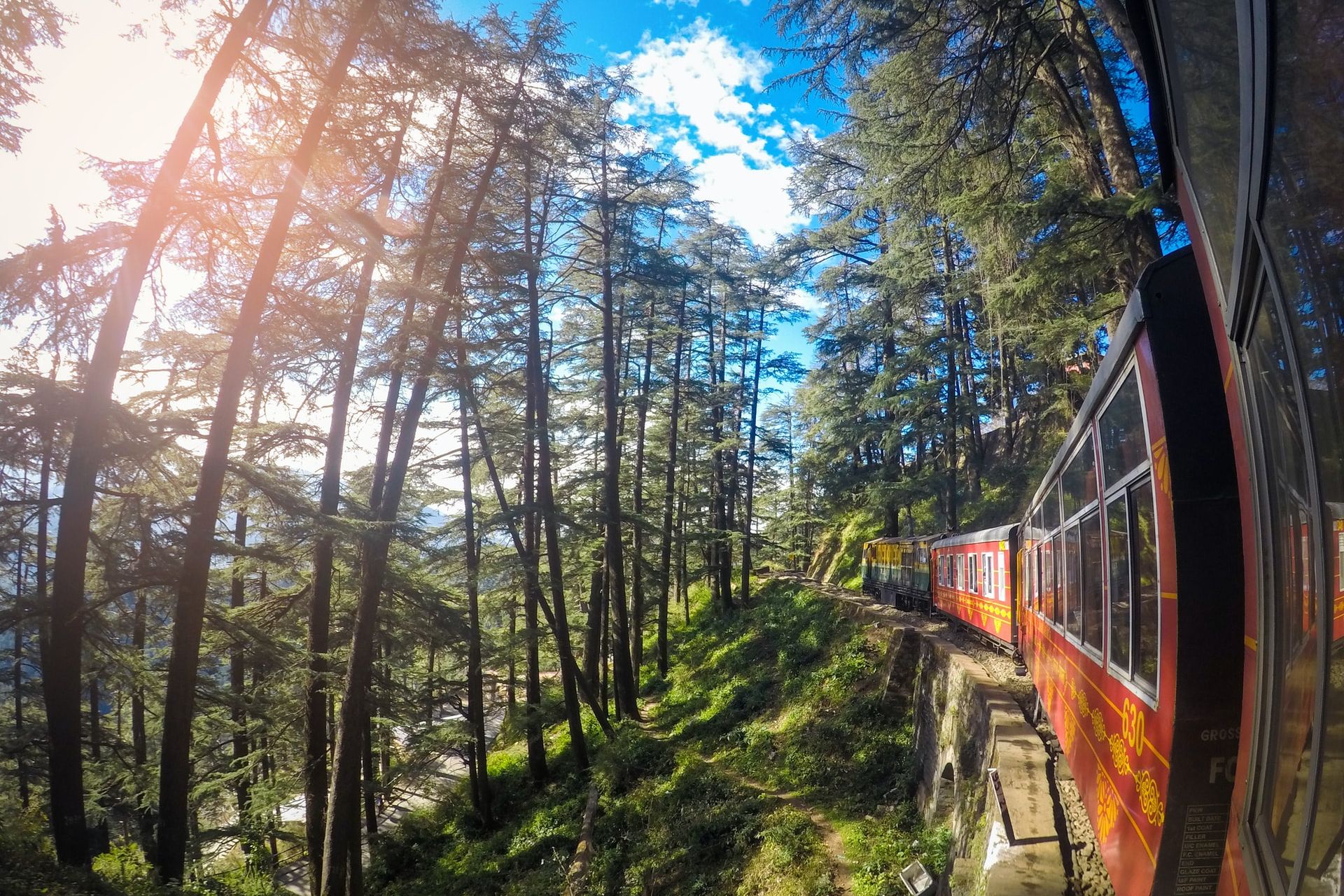 a toy train passing through pine forest during daytime