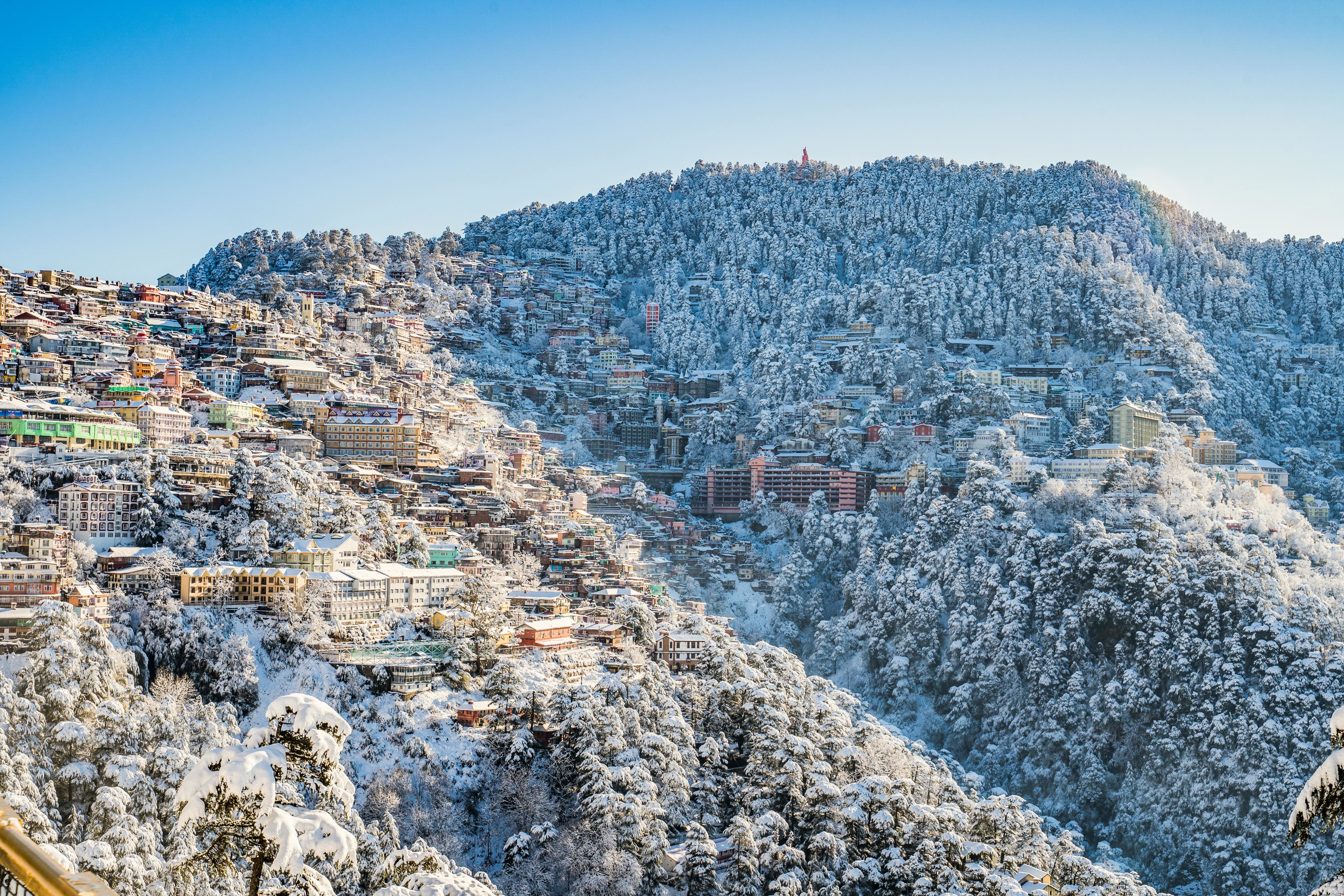 snow covered buildings on a hill in shimla
