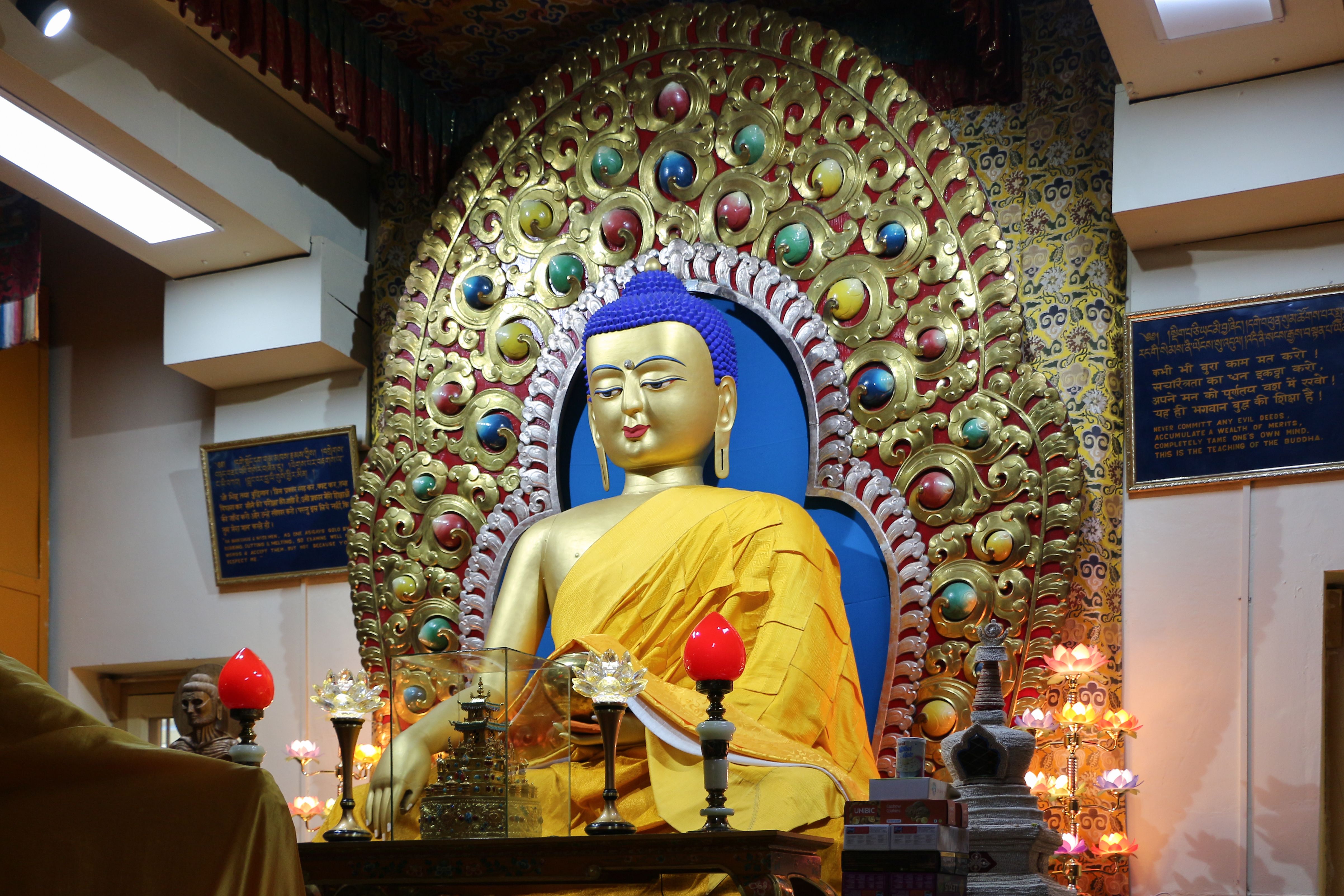 statue of buddha inside namgyal monastery