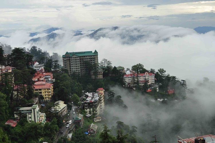 building surrounded by pine trees at shimla summer hill
