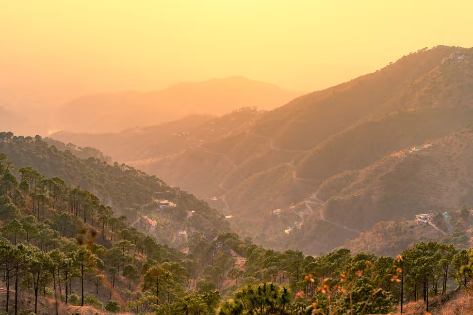 a view of trees on mountain top during evening in kasauli
